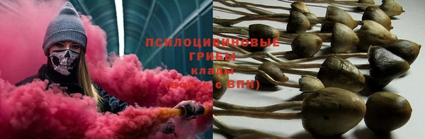 прущая мука Кулебаки