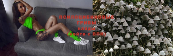 прущая мука Кулебаки