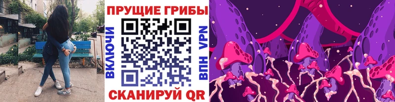купить наркотики сайты  Усть-Катав  маркетплейс как зайти  Псилоцибиновые грибы GOLDEN TEACHER 